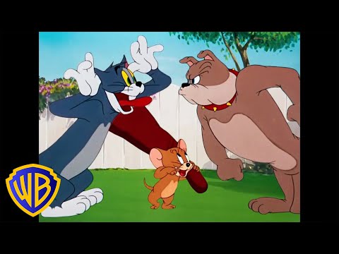 Tom & Jerry | Classic Cartoon Compilation | Tom, Jerry, & Spike