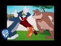 Tom \u0026 Jerry | Classic Cartoon Compilation | Tom, Jerry, \u0026 Spike mp3