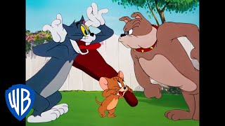 Tom & Jerry | Best Buddies 🐭🐱🐶 | Classic Cartoon Compilation | WB Kids