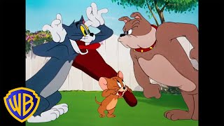 Tom & Jerry  Best Buddies 🐭🐱🐶  Classi