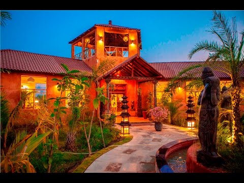 download lagu mp3 mp4 Bamboo Forest Tadoba, download lagu Bamboo Forest Tadoba gratis, unduh video klip Bamboo Forest Tadoba