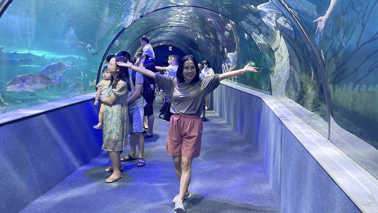 Embark on an engaging video tour through VinKE & Vinpearl Aquarium Times City.