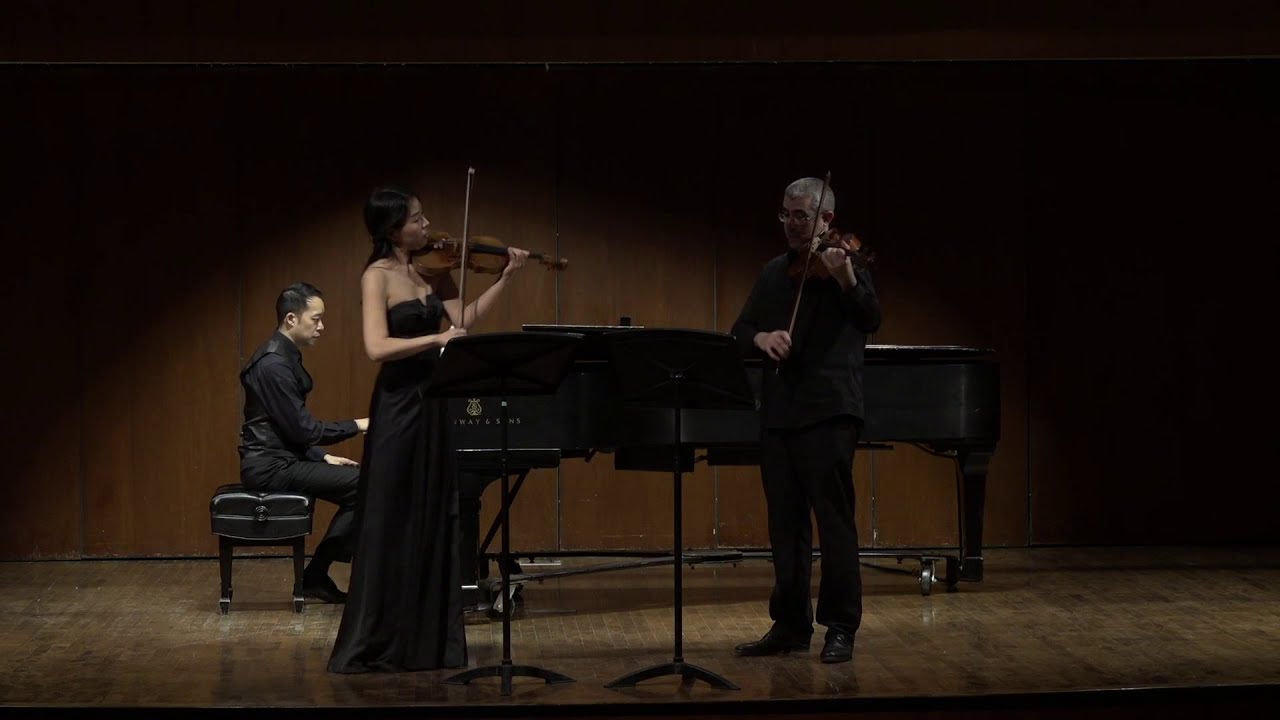 Promotional video thumbnail 1 for Violinist Joelle