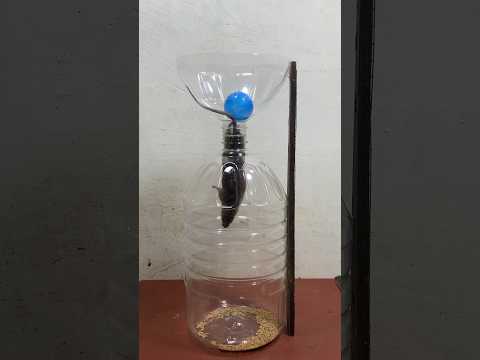 easy mousetrap from scrap plastic bottles / creative mousetrap #rat #rattrap #mousetrap #shorts