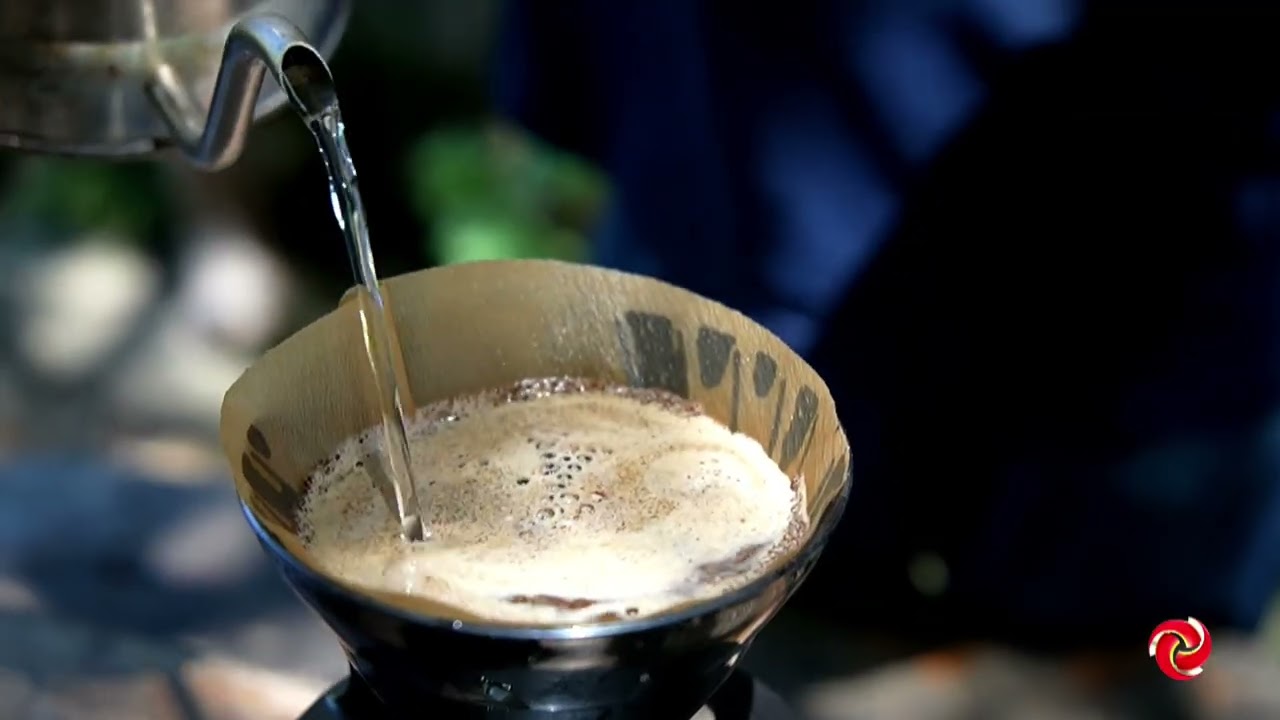 Estudo sobre café arábica nos EUA