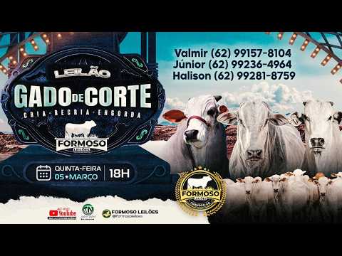 LEILÃO GADO DE CORTE FORMOSO LEILÕES - FORMOSO - GO - 05/03/2026