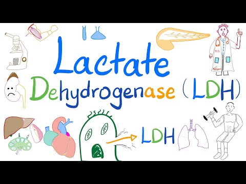 Lactate Dehydrogenase (LDH) - Organ Damage - Biochemistry, Labs, Clinical significance
