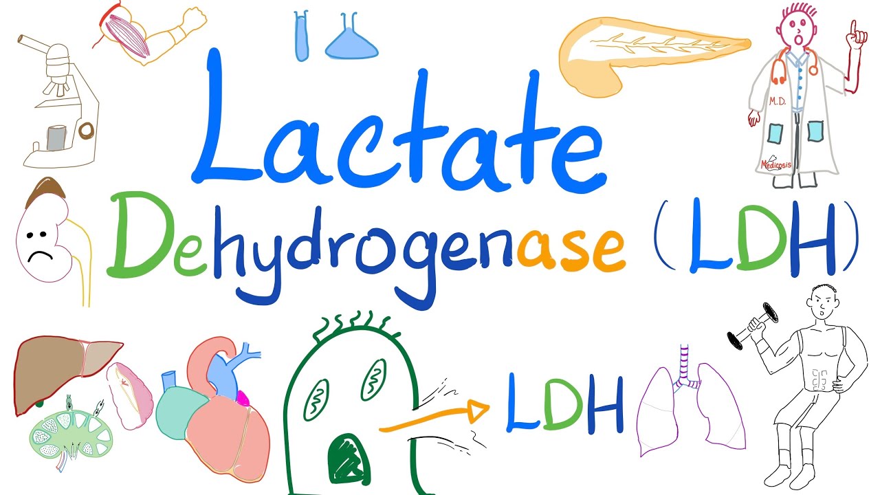 Lactate Dehydrogenase (LDH) | Biochemistry, Lab 🧪, and Clinical significance doctor 👩‍⚕️ ❤️