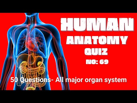 How Well Do You Know The Human Anatomy Quiz? No 69