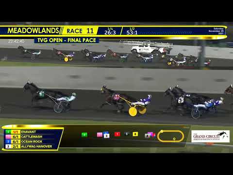 November 20, 2021 - TVG Open Pace - Race 11