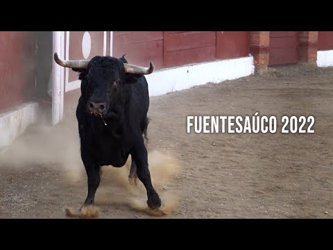 Concurso con Toros Bravos Fuentesaúco 2022