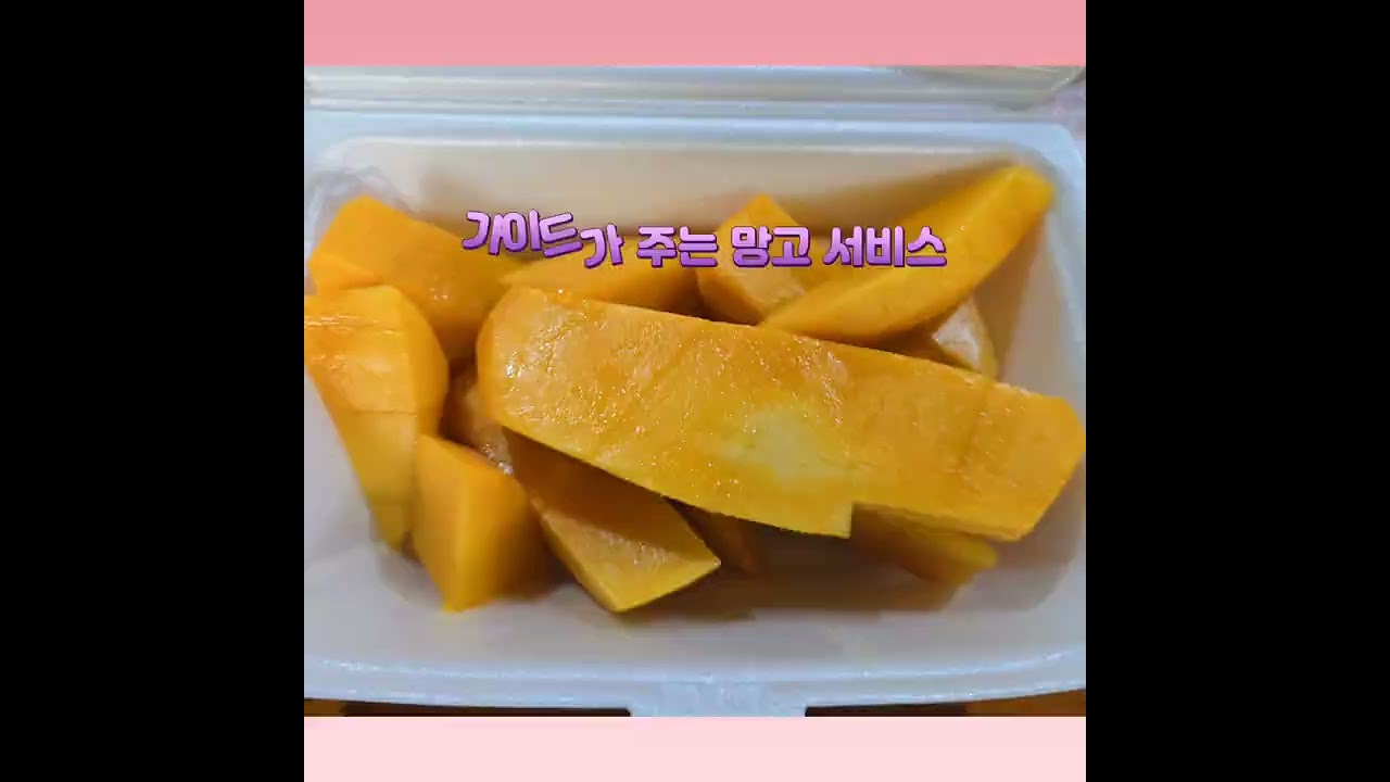 #베트남#다낭여행#대한항공  #바나산국립공원#한강유람선 람선#바구니배체험