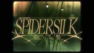IARA - Spidersilk (Visualizer) 