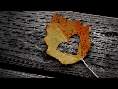 Conni NB ft. Janni - Always [LoveSong] 2014