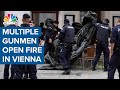 Multiple gunmen open fire in Vienna 'terrorist attack'