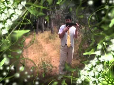 Danut Ababei   Costello   Imn de pace