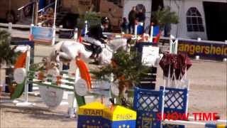 preview picture of video '2014-08-12 Stallion Dantee BK Gesves first qualifying round'