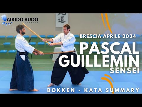 Pascal Guillemin: bokken part 5 in Brescia