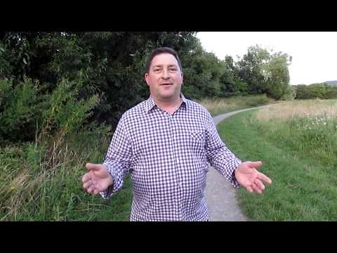 Creating space for Insights
