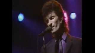 Mink DeVille    Love And Emotion