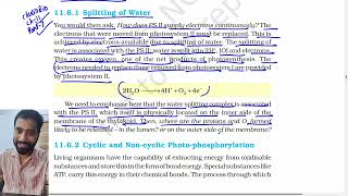 Part 7 Splitting of Water, Photosynthesis in higher plants, Class 11th Biology Ncert
