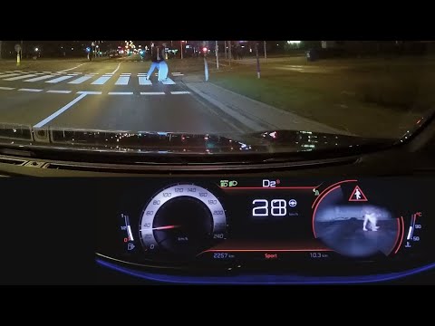 Peugeot Night Vision: real-life test. Peugeot 508, 5008 :: [1001cars]