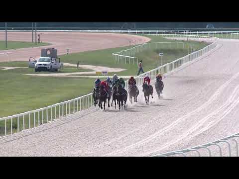 2019.05.26. 05. futam - BALBINUS HENDIKEP (V.o.) (szintetikus pálya)