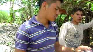 preview picture of video 'banda universo de mayaltepec'