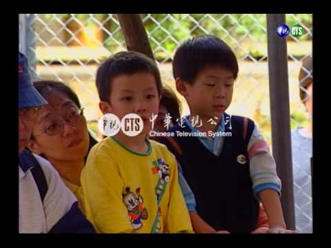 三千年古台北人現身 芝山岩湧人潮