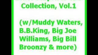 Blues Surprises SBD Collection, Vol.1 w/Muddy Waters, B.B.King, Big Joe Williams, Big Bill