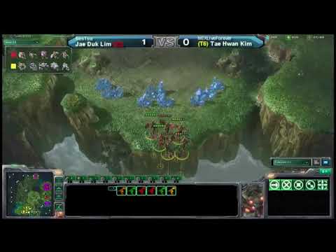 2010 GSL Season 1 Ro64 Match 6 Set 2   NesTea vs LiveForever