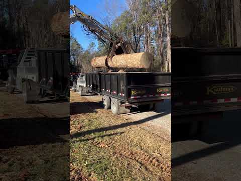 Loading a big log #excavator #construction