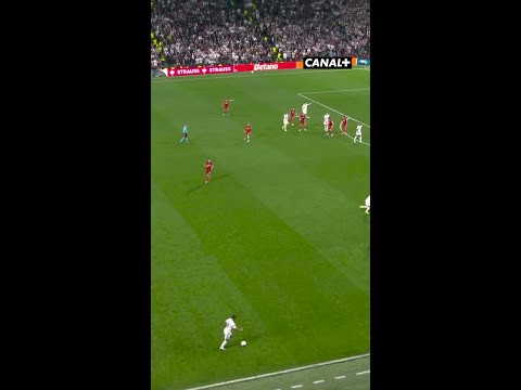 🤩 LE DÉLICE DE BUENDIA