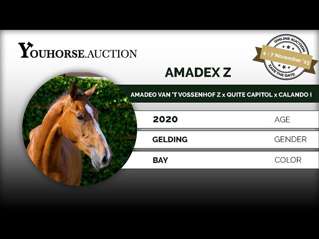 Amadex Z