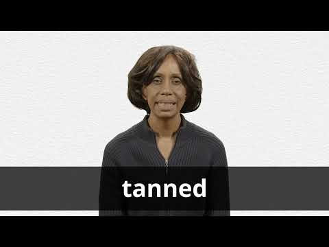 TANNED definition and meaning | Collins English Dictionary
