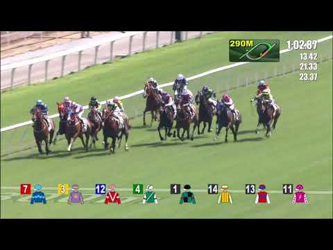 11/4/2021 (579) My Ecstatic- Z Purton