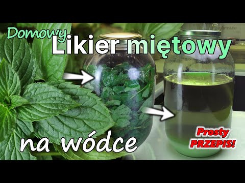 Przepis na LIKIER MIĘTOWY - Domowy LIKIER na zdrowie! A może, to słabsza nalewka miętowa? -387