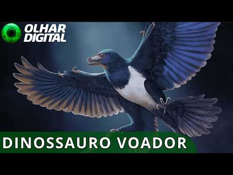 10 New feathered dinosaur could change what we know about ...