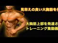 【かっこいい胸を作る!】大胸筋上部トレーニング集