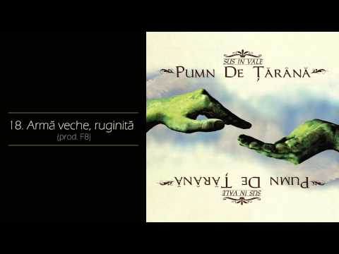 Pumn de Tarana - Arma veche, ruginita