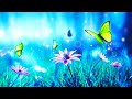 Relaxing Reading Music Collection Books Cafe Music Study Music