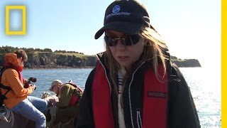 Gyre: Creating Art From a Plastic Ocean