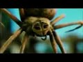 Charlotte S Web Movie Trailer 2006 TV Spot