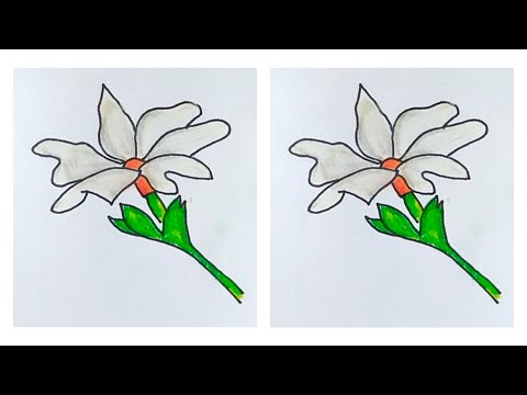 How to Draw a Simple flower shiuli (শিউলি ফুল)