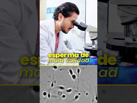 David Eduardo Figueroa Montero-38