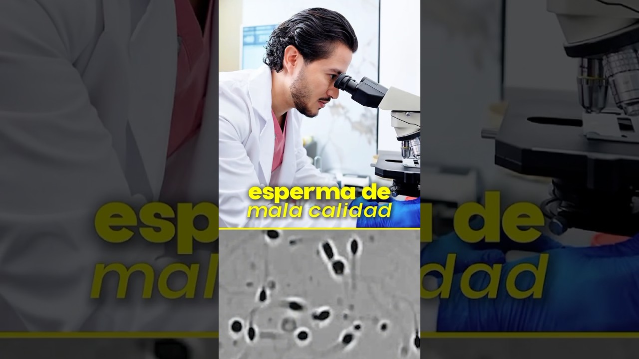 David Eduardo Figueroa Montero-38