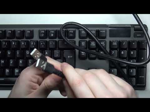 Warum gibt es zwei USB-Kabel mit Steelseries Apex 7?