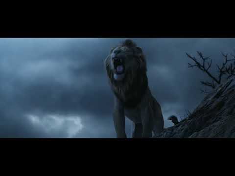 Leão; Africa; Leão correndo ; Rugido de Leão; Rei Leão; Vídeo de Leão Rugindo