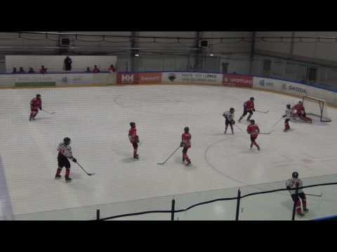 HC Panter 03/04 – HC Vipers 03/04  0-9 (0-2; 0-5; 0-2)  15.03.2017