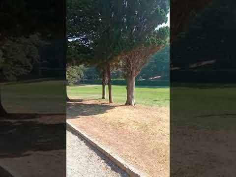 Queen's beach montenegro resort